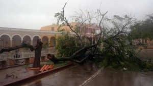 Irma 10