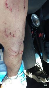 46255434_1983006851793631_3696962468048797696_n